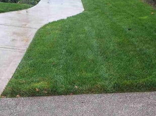 Kathy B.'s lawn maintenance service result