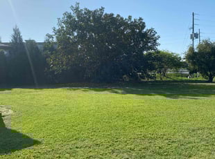 Arnie C T.'s lawn care service result