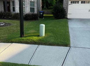 Anisha R.'s lawn service service result