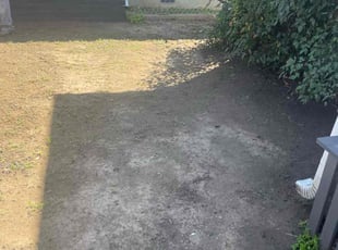 Kathy S.'s Leaf Removal service result