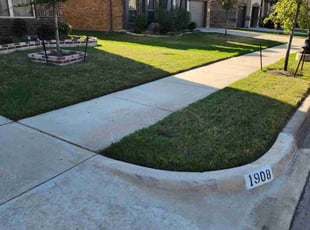 Chelsea H.'s lawn service service result