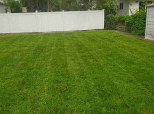 Rick B.'s lawn care services service result