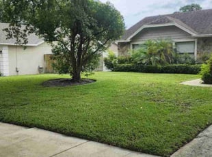 Melissa K.'s grass cutting service result