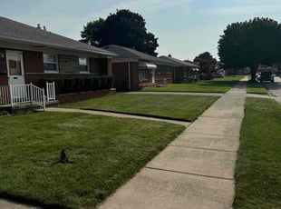 Eric D.'s grass cutting service result