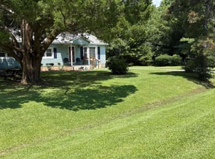 Cynthia C.'s lawn maintenance service result