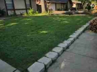 Kady L.'s lawn care services service result