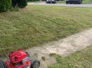 Sharilyn L.'s lawn service service result