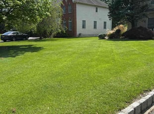 Arthur D.'s lawn maintenance service result