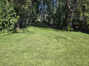 Lisa W.'s turf maintenance service result
