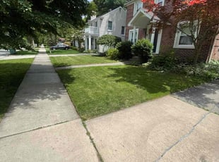 Katharina H.'s lawn care service result