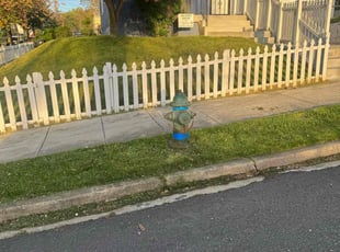 Laurel M.'s grass maintenance service result