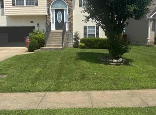 Alexander K.'s turf care service result