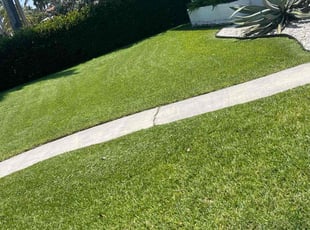 Lorraine G.'s grass maintenance service result