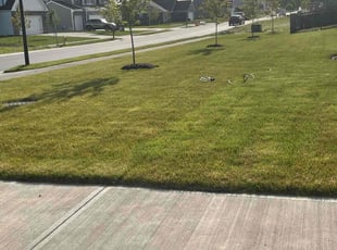 Kristen R.'s lawn care service result