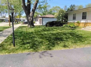 Anthony B.'s lawn maintenance service result