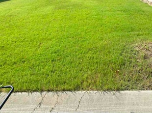 Almaneta L.'s turf maintenance service result