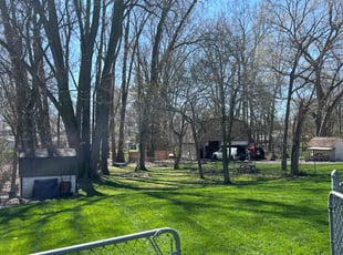 Steve H.'s turf care service result