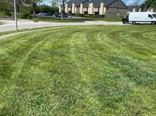 Heather J.'s lawn maintenance service result