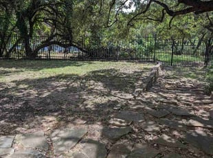 Cathy C.'s lawn care service result