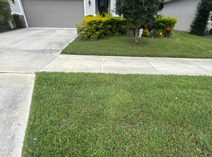 Elizabeth H.'s turf maintenance service result