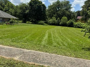 Dr H.'s lawn maintenance service result