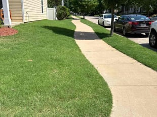 Josh A.'s lawn maintenance service result