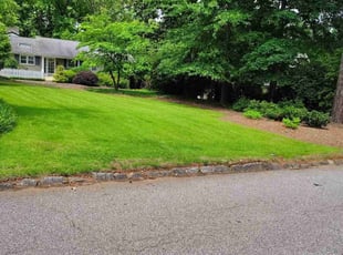 Debra J.'s lawn maintenance service result