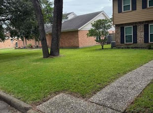 Leon C.'s lawn care services service result