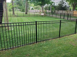 Amanda C.'s lawn care service result