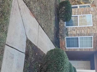 Julie E.'s Bush Trimming service result