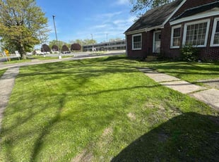 Darrell M.'s turf care service result