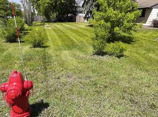 Lloyd G.'s lawn care service result