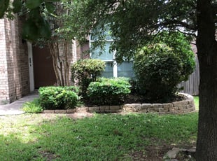 Harry O.'s Bush Trimming service result