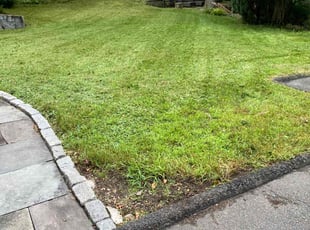 Nora J.'s lawn service service result