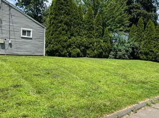 Heidi F.'s grass cutting service result