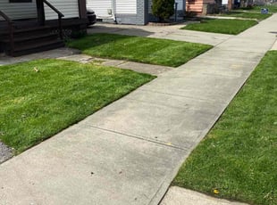 Amy R.'s yard maintenance service result