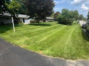 Courtney D.'s turf care service result