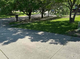 Richard L.'s Long Grass Cleanup service result