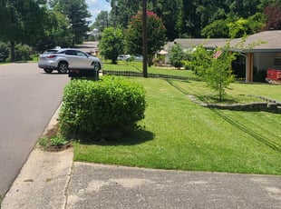 Connie M.'s Bush Trimming service result