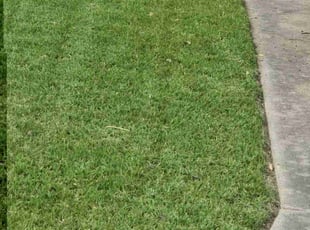 Charles W.'s lawn maintenance service result