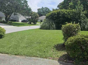 Kathi C.'s lawn care services service result