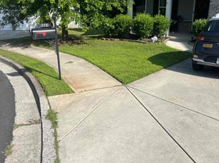 Brenda S.'s turf care service result
