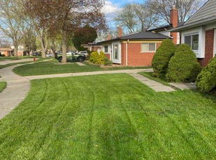 Ignacio I.'s turf care service result