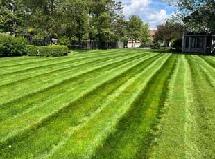 Rosa F.'s turf maintenance service result