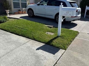 Renarder L.'s lawn care service result