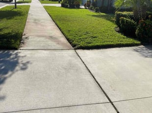 Mohammed A.'s grass maintenance service result