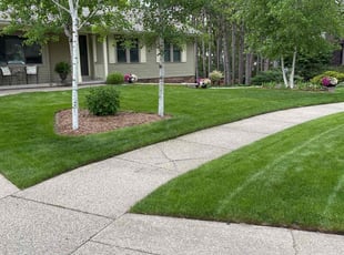 Chandler B.'s lawn care service result