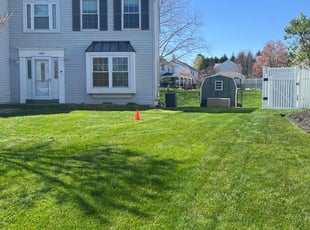 Art D.'s lawn maintenance service result