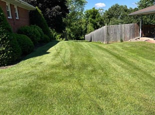 E'Tiyah N.'s turf maintenance service result