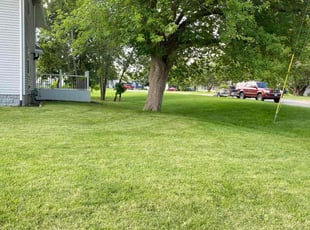 Terrie W.'s lawn service service result